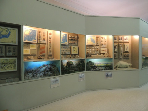 На лекции, выставки, праздник для детей приглашает вологжан отдел природы музея-заповедника 